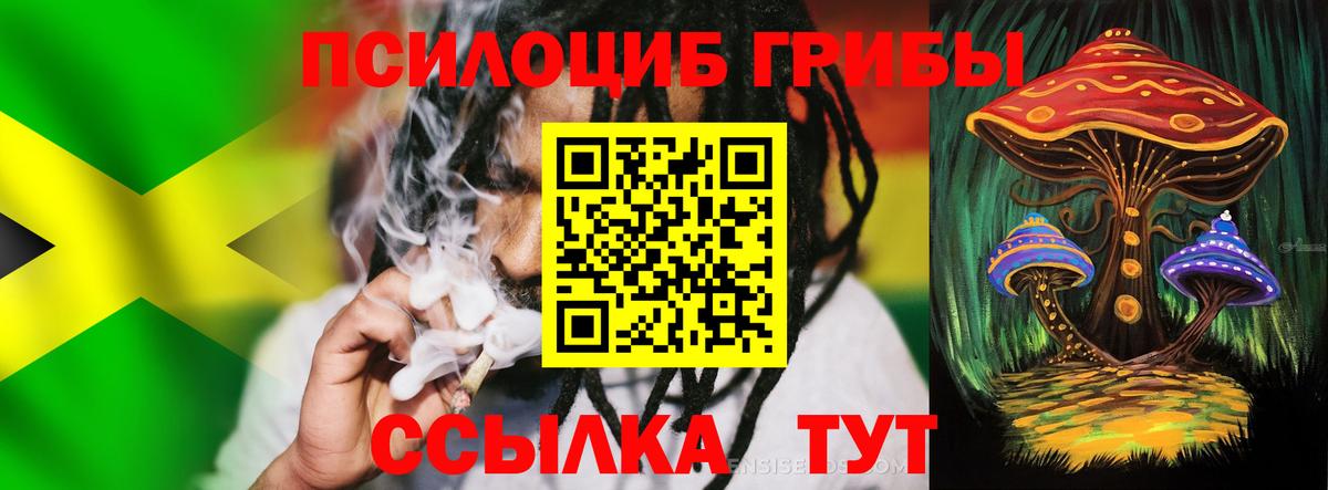 Псилоцибиновые грибы Psilocybine cubensis  Вход с VPN  Лабинск 